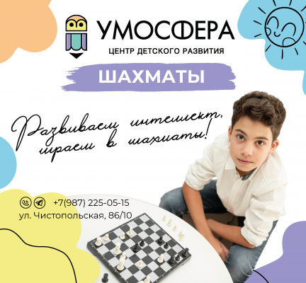 Шахматы