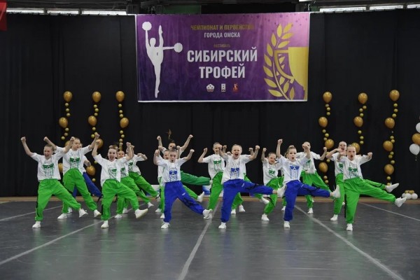 Чир-спорт (на ул. 26 Северная 13 А корпус 6)