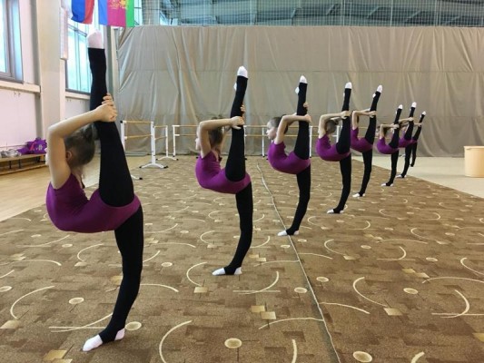 Гимнастический клуб «Небеса»