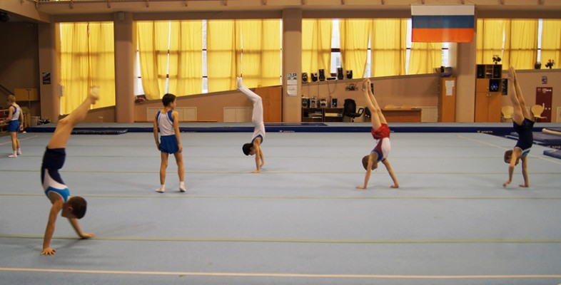 Секция спортивной гимнастики
