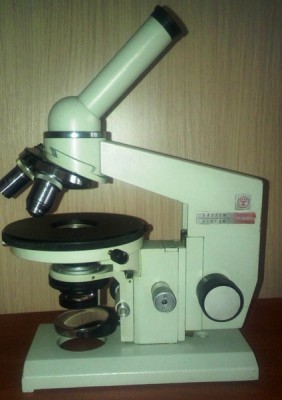Увлекательная микроскопия