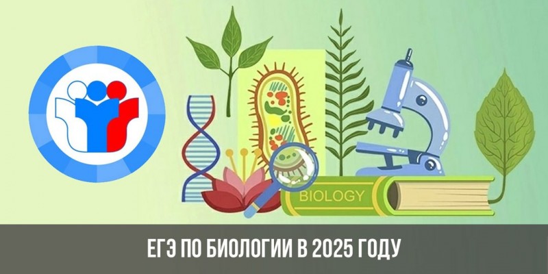 биология химия физика общество