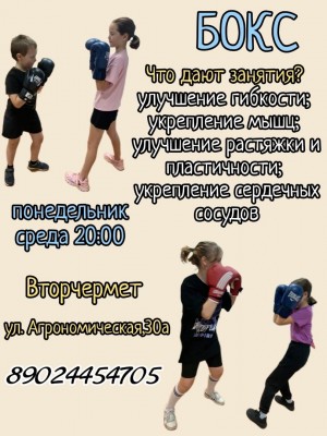 Бокс для детей и взрослых район Вторчермет в Екатеринбурге