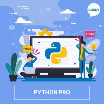 Python Pro