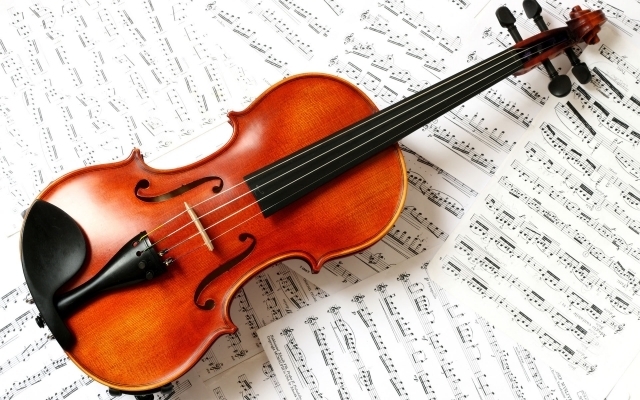 Программа «Скрипка»