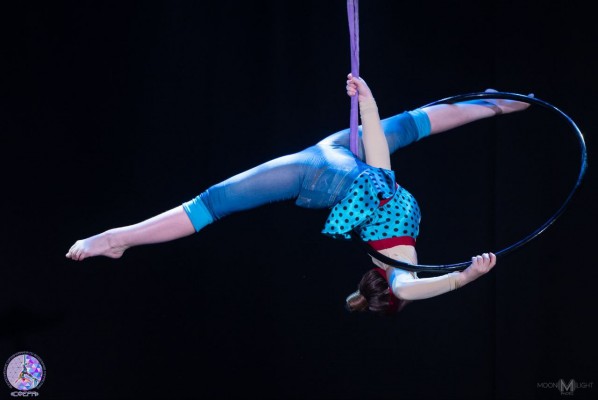 Воздушная гимнастика, цирковое искусство
