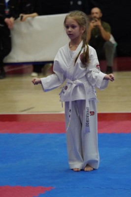 Кикбоксинг и тхэквондо Клуб 