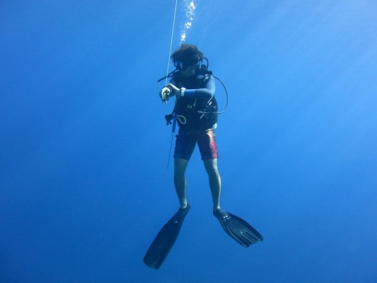 Подводный спорт, плавание в ластах