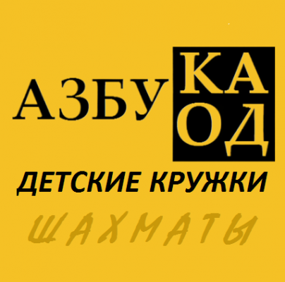 Шахматный кружок