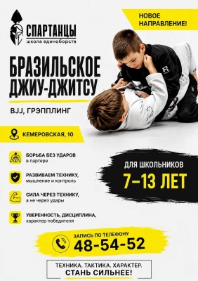 Бразильское джиу-джитсу