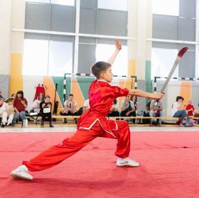 Секция ушу для детей в центре