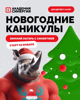 Зимний ИТ-клуб от Академии Синергия
