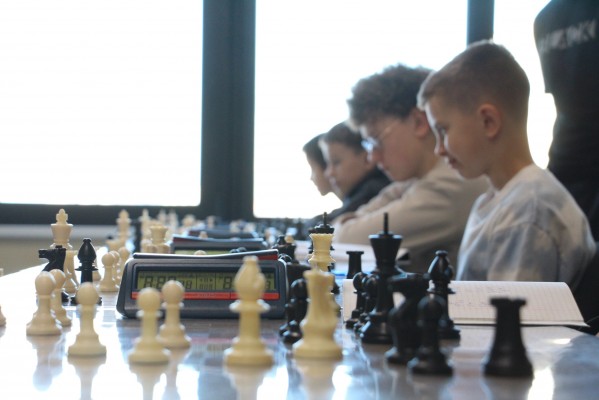 Шахматные занятия