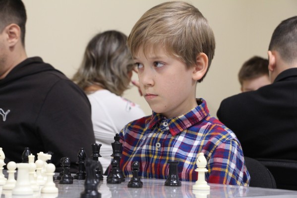 Шахматные занятия