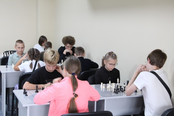 Шахматные занятия