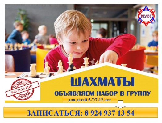 Шахматы
