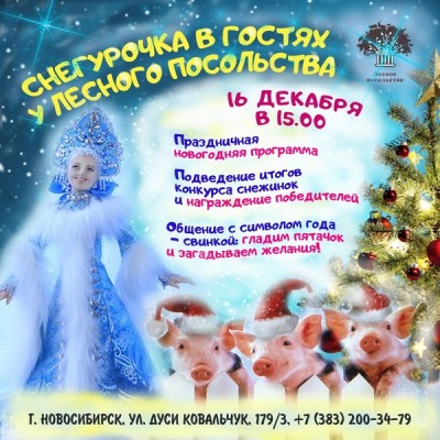 Г Новосибирск Ул Новогодняя Г Новосибирск Ул Новогодняя