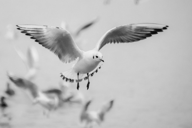 blog-post image