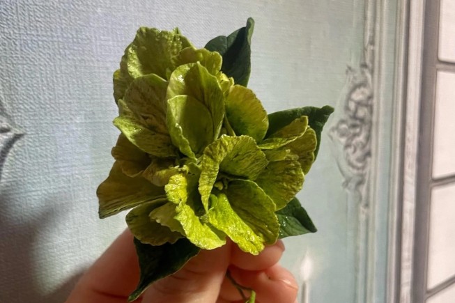 blog-post image